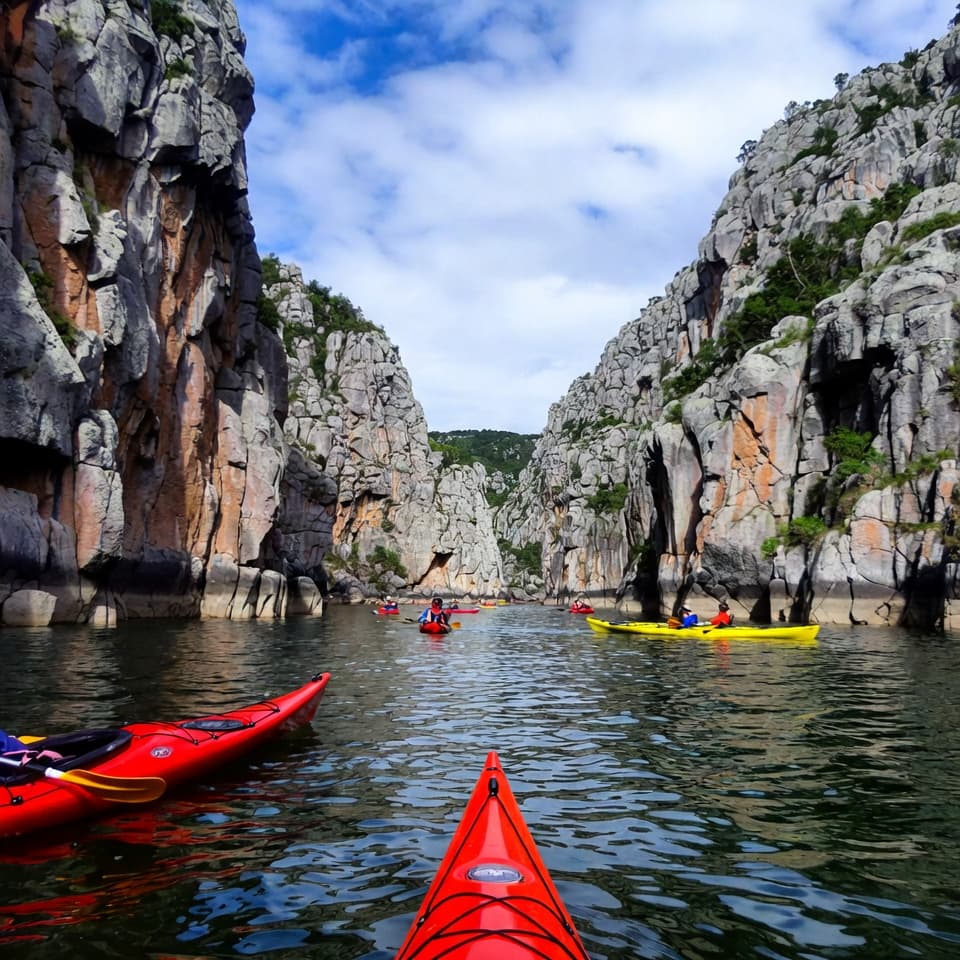 Kayak tour experience
